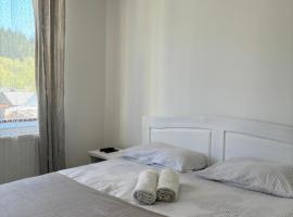 Kiadó apartman, hotel v destinaci Borsec