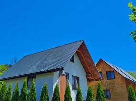 Ostoja Bieszczady Domek Całoroczny, lodge in Lutowiska