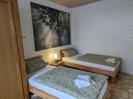 Ferienwohnungen Schallenberg Fewo Nr 6