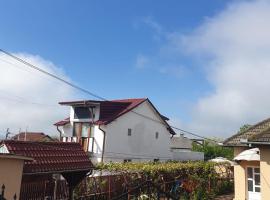 La Vodita SRL, hotel in Filiaşi