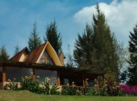 Alojamiento rural Chalet el Pinar en Ubaté-Guachetá, Cundinamarca