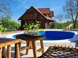 Family friendly house with a swimming pool Sveti Ivan Zelina, Prigorje - 20657