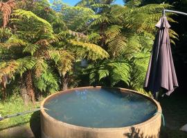 Cabin&geothermal pool by lake Taupo, hotel with jacuzzis in Turangi