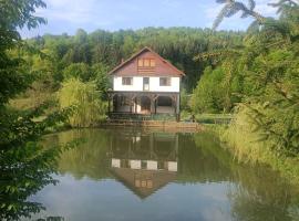 Cabana Țibleș Bichigiu, villa in Bichigiu