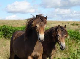 Exmoor BnB in Withypool on Two Moors Way, hotel din Withypool