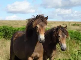 Exmoor BnB in Withypool on Two Moors Way