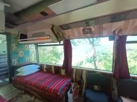 Autobuzul din padure