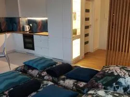 Apartament z wanną i widokiem na jezioro Charzykowy Cień Wiatru