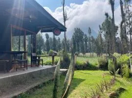 Gangga Guest House Bromo