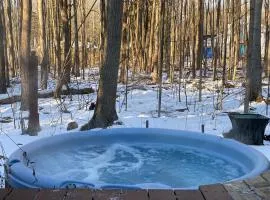 In the Trees- Relaxing getaway with hot tub! 400ft to private Lake Access!