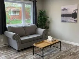 ENTIRE 1 BEDROOM APARTMENT DOWNTOWN - u4
