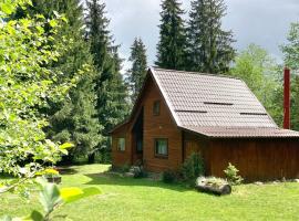 Pin chalet, cabin in Borzont