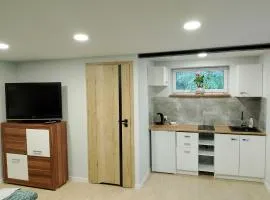 Apartament z ogrodem I