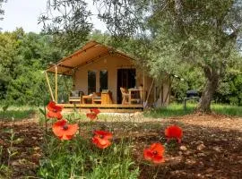 Domus Olea Glamping