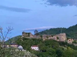 Vista Castle