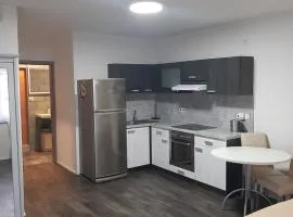 Apartman u lesa