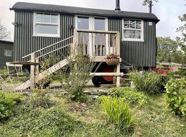 Lovely shepherds hut in Cornwall, lodging in Camelford