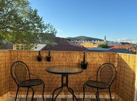 Zum Breyer BNB City Apartment, pet-friendly hotel in Baden