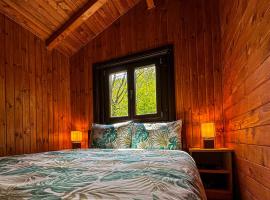 Retreat Chalet in Retezat Mountains, hotel u gradu Clopotiva