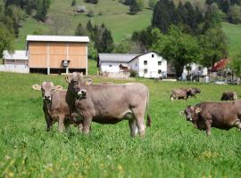 Ekološka turistična kmetija pri Lovrču, hótel í Tolmin