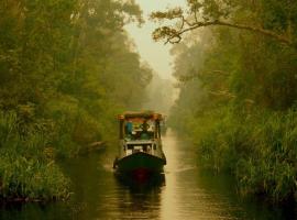 Cakrawala Borneo Tour Tanjung puting, barcă din Kumai