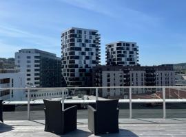 First Apartment Lillestrøm，利勒斯特羅姆的公寓