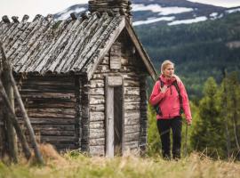 Trillevallens Högfjällshotell & Lägenheter, hotel v destinaci Trillevallen