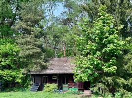 Brańszczyk, Stare Budy-Natura 2000, las, rzeka – dom wakacyjny w mieście Kamieńczyk