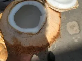 Jinja