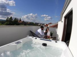 Tierra de Lemos- Apartamentos Tur&iacute;sticos, hotel com banheiras de hidromassagem em Monforte de Lemos