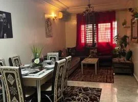 Beautiful apartment in the city center