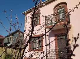Baku Masazir villa