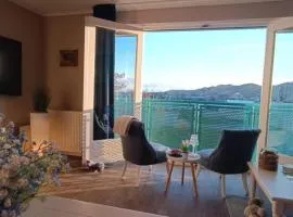 PiMa aan Zee Julianadorp - charmantes Appartement für bis zu 2 Personen in unmittelbarer Nähe zum Strand - Haustiere herzlich willkommen