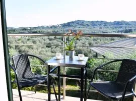 Green View Apartments