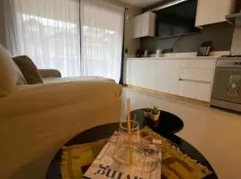 Departamento Av San Martin