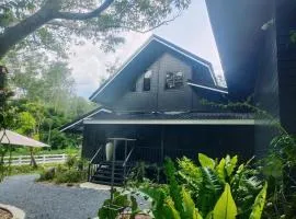 The Creek Haus