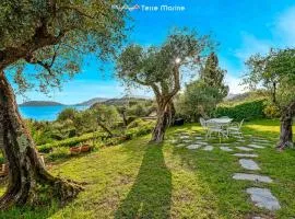 La Tuile, Terre Marine