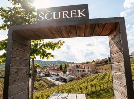 Posestvo Ščurek wine, Hotel in Dobrovo