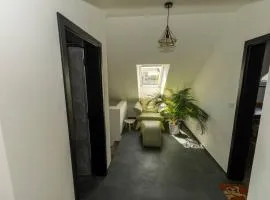 Stylish new "PLAYGROUND" flat with Bondage Cross & Private fitness in new family house