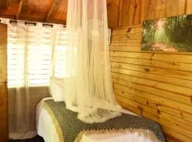Somali Jungle Eco Lodge and Cabins