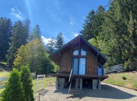 Bramble Tiny House, cabin in Zărneşti