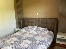 Anton Residences