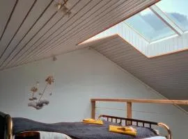 Muota River Loft & Muota Industry Apartment near Stoos