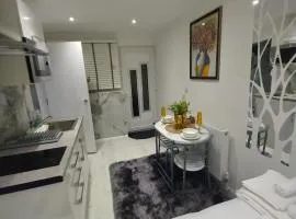 Cosy Luxury studio in Leicester. (Emerald Suite)