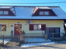 Holiday house with a parking space Generalski Stol, Karlovac - 22148