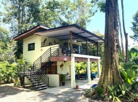 Herons Landing - Modern Jungle Villa, hotell i Puerto Viejo