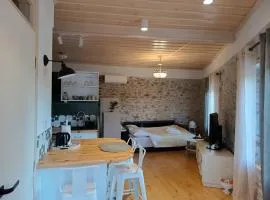 Casa Lehovo
