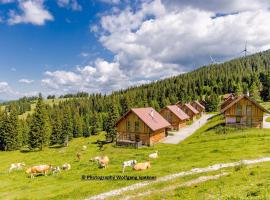 Beautiful Holiday Home in Weinebene with Sauna, hotel cerca de Brandruckenlift II, Posch Alpe