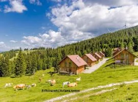 Chalet in Alps with Private Sauna