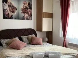 Apartman Akiluz & SPA Zlatibor